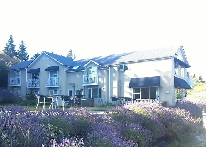 Inn Lake Wanaka Lodge Wanaka