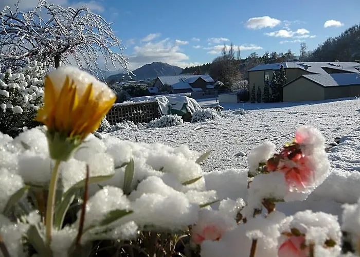 Lake Wanaka Lodge Inn 4*